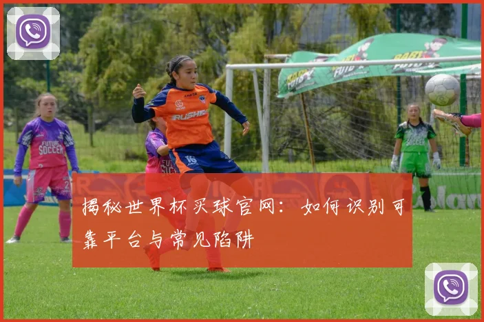揭秘世界杯买球官网：如何识别可靠平台与常见陷阱