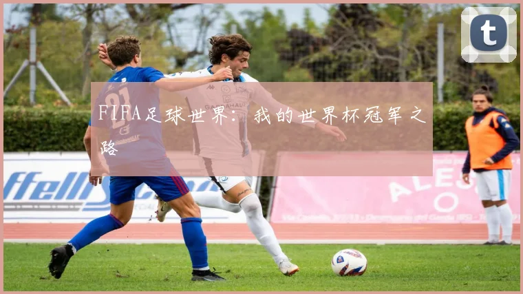 FIFA足球世界：我的世界杯冠军之路