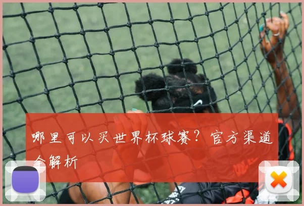 哪里可以买世界杯球赛？官方渠道全解析