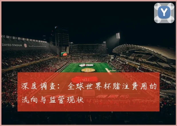 深度调查:全球世界杯赌注费用的流向与监管现状
