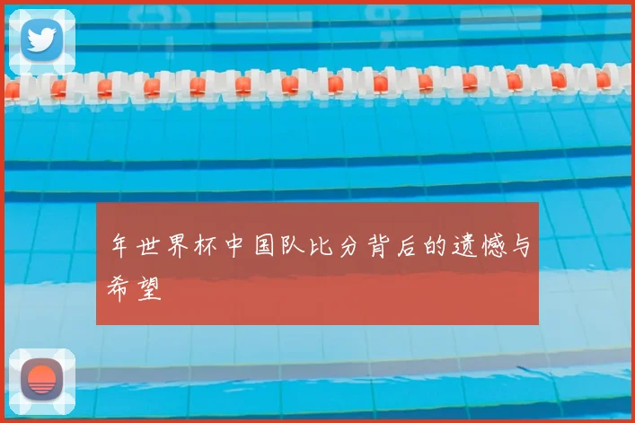 年世界杯中国队比分背后的遗憾与希望