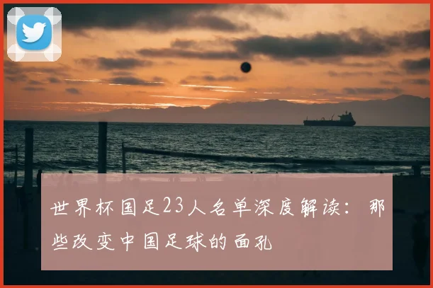 世界杯国足23人名单深度解读：那些改变中国足球的面孔